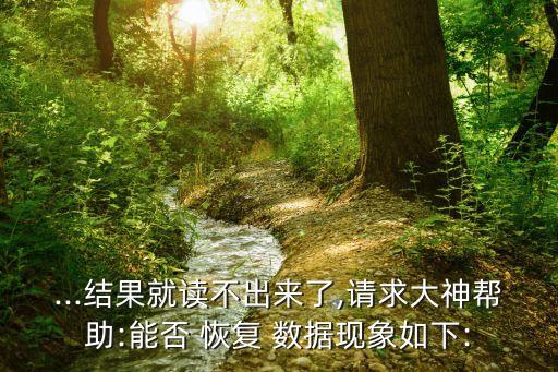 ...結(jié)果就讀不出來了,請求大神幫助:能否 恢復(fù) 數(shù)據(jù)現(xiàn)象如下: