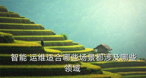 大數(shù)據(jù)智能運維,動力電池大數(shù)據(jù)智能運維管理