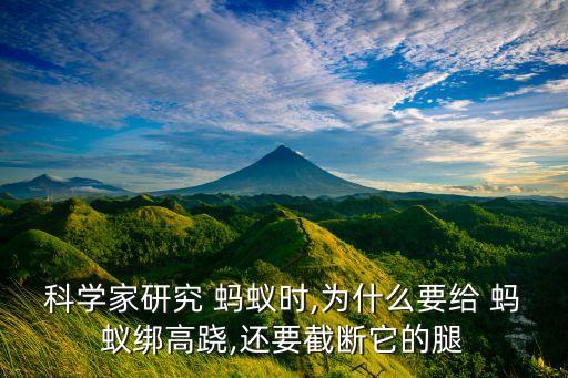 科學(xué)家研究 螞蟻時(shí),為什么要給 螞蟻綁高蹺,還要截?cái)嗨耐? class=