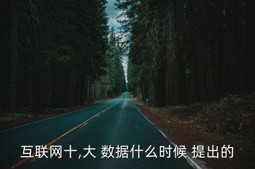 互聯(lián)網(wǎng)十,大 數(shù)據(jù)什么時候 提出的