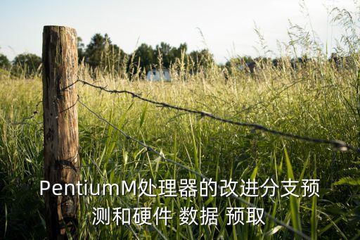 數(shù)據(jù)預(yù)取技術(shù),當(dāng)前存在預(yù)拉取數(shù)據(jù)