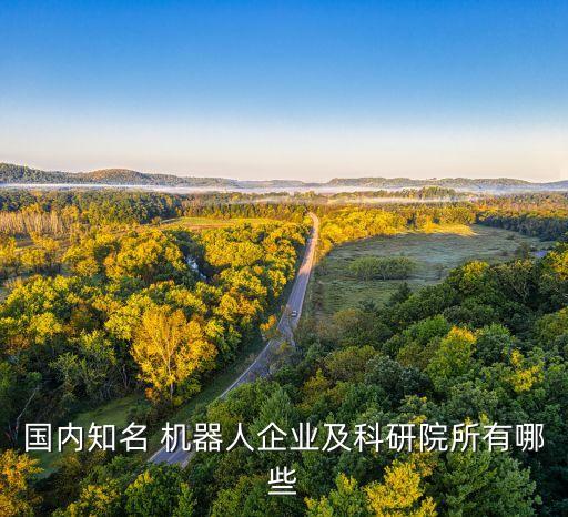 國內(nèi)知名 機(jī)器人企業(yè)及科研院所有哪些