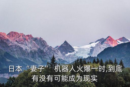 日本“妻子” 機(jī)器人火爆一時(shí),到底有沒(méi)有可能成為現(xiàn)實(shí)