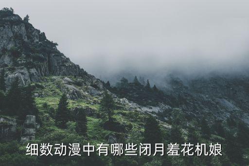 細數(shù)動漫中有哪些閉月羞花機娘