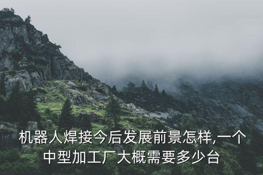  機器人焊接今后發(fā)展前景怎樣,一個中型加工廠大概需要多少臺