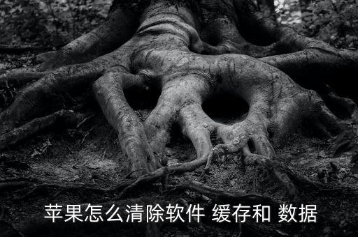  蘋果怎么清除軟件 緩存和 數(shù)據(jù)