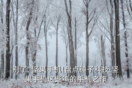 別了, 堅果手機!盤點錘子科技 堅果手機這些年的手機之作