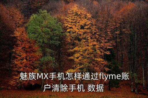  魅族MX手機怎樣通過flyme賬戶清除手機 數(shù)據(jù)