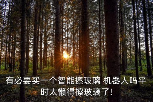 有必要買一個(gè)智能擦玻璃 機(jī)器人嗎平時(shí)太懶得擦玻璃了!