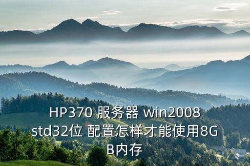 HP370 服務(wù)器 win2008std32位 配置怎樣才能使用8GB內(nèi)存
