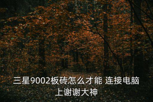 三星9002板磚怎么才能 連接電腦上謝謝大神