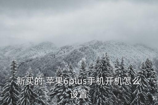 新買的 蘋果6plus手機(jī)開機(jī)怎么設(shè)置