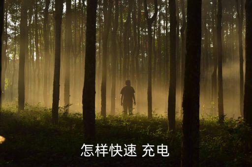 怎樣快速 充電