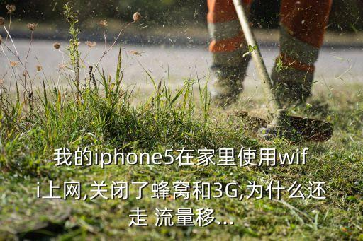 蘋果5關(guān)數(shù)據(jù)流量用不用關(guān)3g,蘋果手機的數(shù)據(jù)流量在哪里打開
