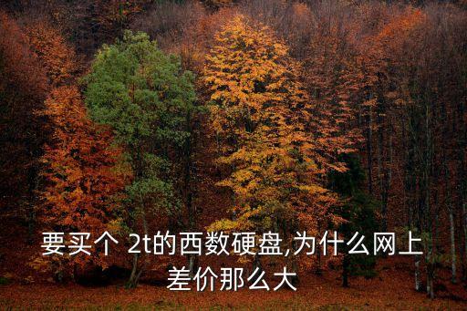 要買個(gè) 2t的西數(shù)硬盤,為什么網(wǎng)上差價(jià)那么大