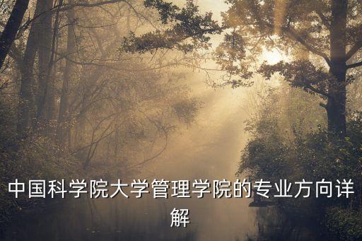 中國(guó)科學(xué)院大學(xué)管理學(xué)院的專業(yè)方向詳解