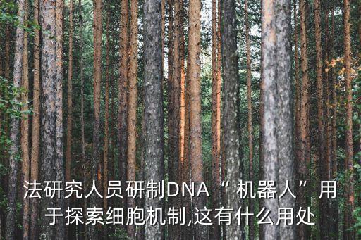 法研究人員研制DNA“ 機(jī)器人”用于探索細(xì)胞機(jī)制,這有什么用處
