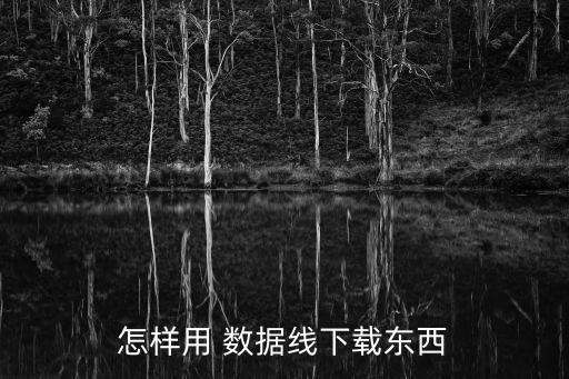 怎樣用 數(shù)據(jù)線下載東西
