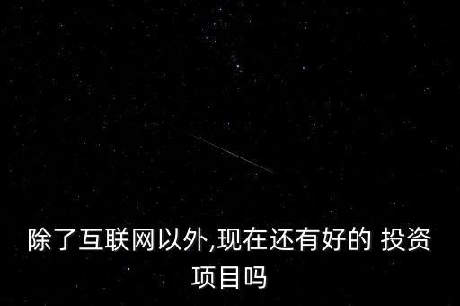 除了互聯(lián)網(wǎng)以外,現(xiàn)在還有好的 投資項目嗎