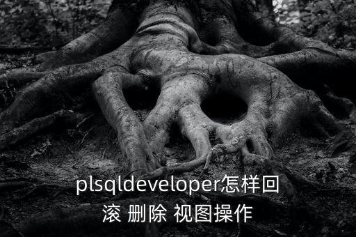 plsqldeveloper怎樣回滾 刪除 視圖操作