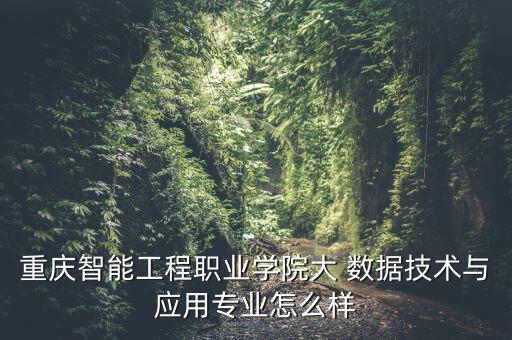 重慶智能工程職業(yè)學院大 數(shù)據(jù)技術(shù)與應(yīng)用專業(yè)怎么樣
