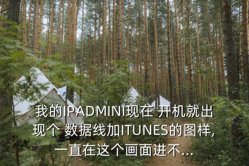 我的IPADMINI現(xiàn)在 開機就出現(xiàn)個 數(shù)據(jù)線加ITUNES的圖樣,一直在這個畫面進不...