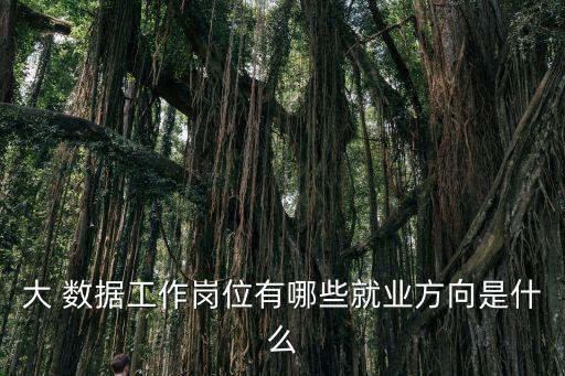 大數(shù)據(jù)平臺集成設(shè)計,數(shù)據(jù)集成平臺SeaTunnel