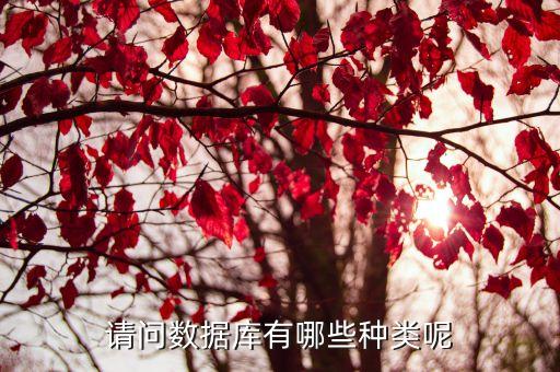 請問數(shù)據(jù)庫有哪些種類呢
