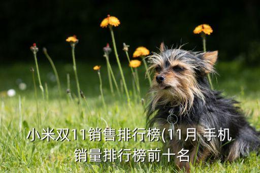 國產(chǎn)手機(jī)銷量數(shù)據(jù)表,2022年手機(jī)銷量數(shù)據(jù)表