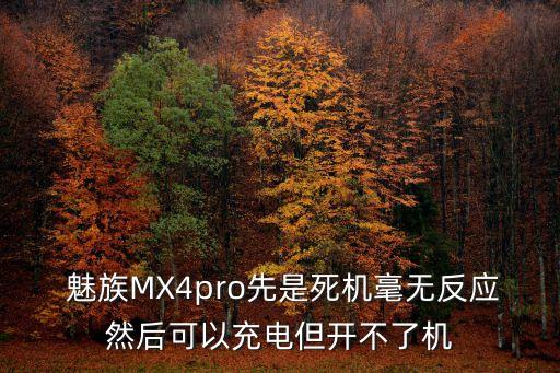  魅族MX4pro先是死機毫無反應(yīng)然后可以充電但開不了機