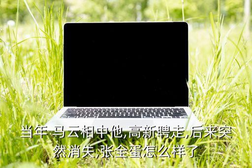 當年 馬云相中他,高新聘走,后來突然消失,張全蛋怎么樣了