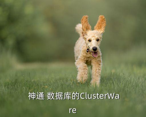  神通 數(shù)據(jù)庫(kù)的ClusterWare