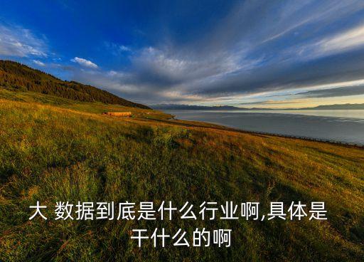數(shù)據(jù)是干什么的,java大數(shù)據(jù)是干什么的