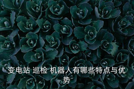 變電站 巡檢 機器人有哪些特點與優(yōu)勢