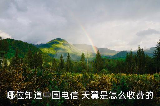 哪位知道中國(guó)電信 天翼是怎么收費(fèi)的