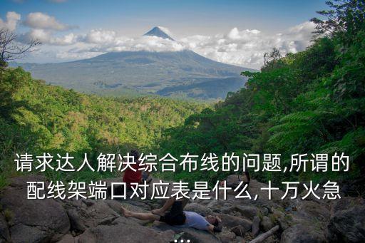 請求達(dá)人解決綜合布線的問題,所謂的 配線架端口對應(yīng)表是什么,十萬火急...