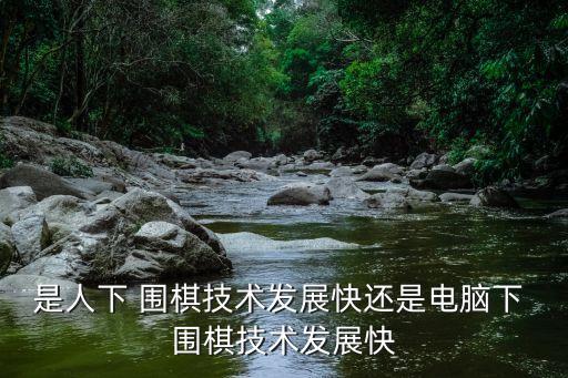 是人下 圍棋技術發(fā)展快還是電腦下 圍棋技術發(fā)展快