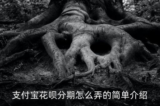 支付寶花唄分期怎么弄的簡單介紹