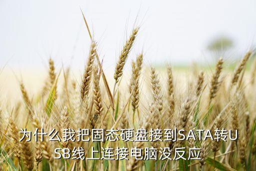 ssd usb數(shù)據(jù)線