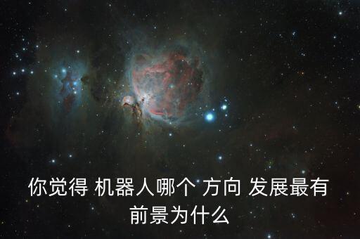 你覺(jué)得 機(jī)器人哪個(gè) 方向 發(fā)展最有前景為什么