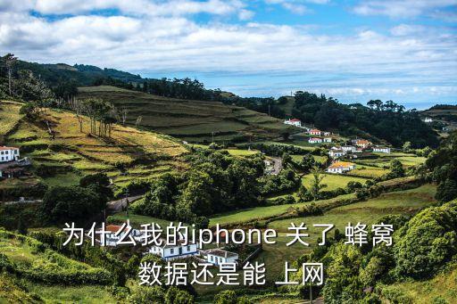 關(guān)了蜂窩數(shù)據(jù)可以上網(wǎng)嗎