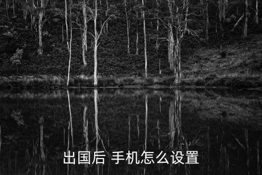 在國(guó)外手機(jī)移動(dòng)數(shù)據(jù)如何關(guān)閉,如何設(shè)置手機(jī)使用移動(dòng)數(shù)據(jù)