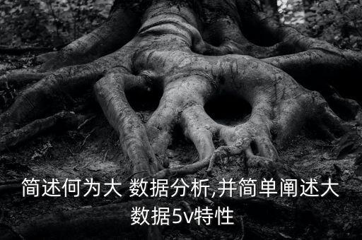 簡述何為大 數(shù)據(jù)分析,并簡單闡述大 數(shù)據(jù)5v特性