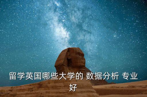 留學英國哪些大學的 數(shù)據(jù)分析 專業(yè)好