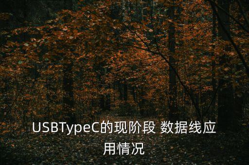 USBTypeC的現(xiàn)階段 數(shù)據(jù)線應用情況