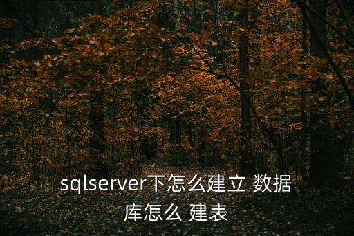 sqlserver下怎么建立 數(shù)據(jù)庫(kù)怎么 建表