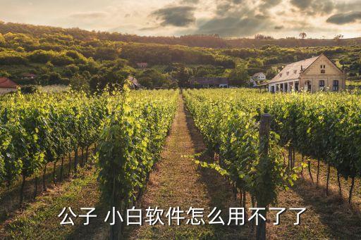 公子小白機器人垃圾
