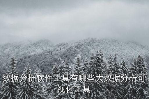 數據分析軟件工具有哪些大數據分析可視化工具