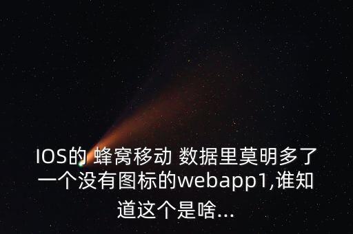 IOS的 蜂窩移動 數(shù)據(jù)里莫明多了一個沒有圖標的webapp1,誰知道這個是啥...