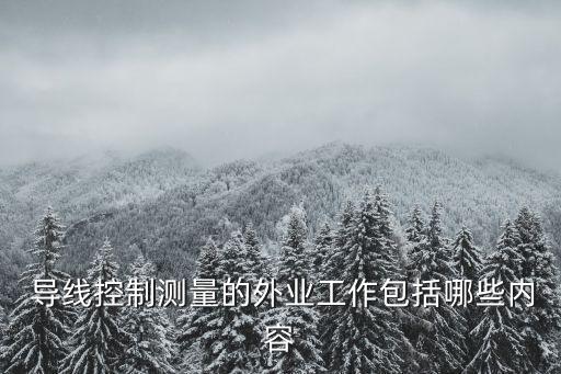 導(dǎo)線網(wǎng)數(shù)據(jù),導(dǎo)線測(cè)量實(shí)驗(yàn)數(shù)據(jù)